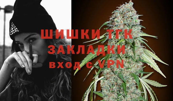 прущие грибы Кукмор