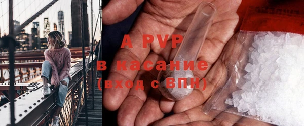 прущие грибы Кукмор