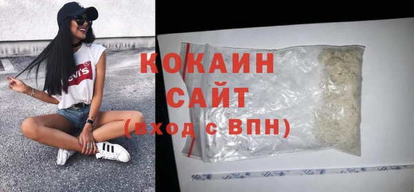 прущие грибы Кукмор