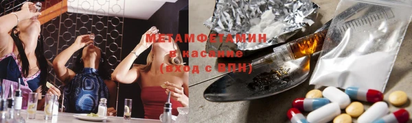 прущие грибы Кукмор