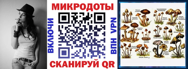 Галлюциногенные грибы GOLDEN TEACHER  магазин продажи наркотиков  Называевск 